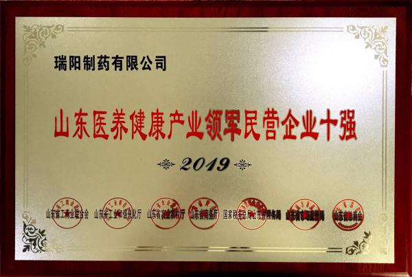 山東醫養健康產業領軍民營企業十強.jpg